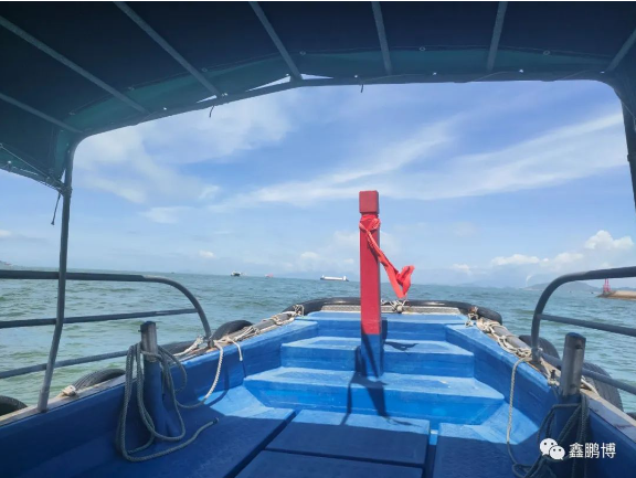 出海活動 出海活動