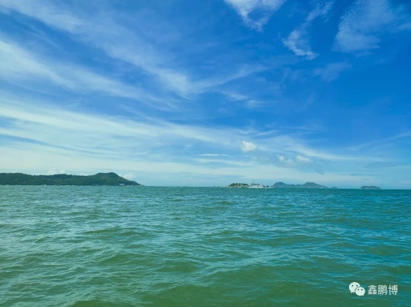 出海活動 出海活動